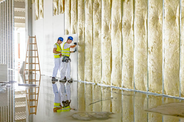 Best Eco-Friendly Insulation in Libby, MT